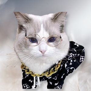 Pet PV Protection Sunglasses